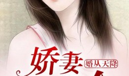 妻妻在线观看全集,一场跨越时空的浪漫邂逅